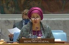 Vietnam calls on Somali to create conditions for women to engage in political activities
