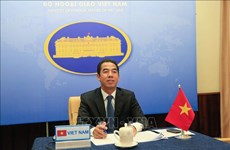 Vietnam, Serbia hold online political consultation