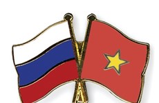 Programme promotes Russian startup projects targeting Vietnamese market