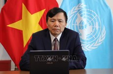 Vietnam will try its best to fulfill its mission: Ambassador