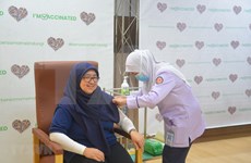 ASEAN urged to bolster cooperation in COVID-19 vaccination, mental health 