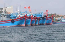 Vietnam works towards responsible, sustainable fishery sector