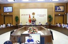 Legislators debate draft resolutions on development of Hai Phong, Nghe An, Thua Thien-Hue