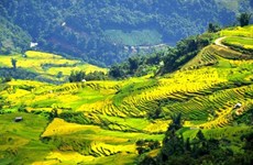 Ngai Thau Thuong – highest village in Vietnam