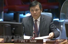 Vietnam committed to fostering international peace and security: Diplomat
