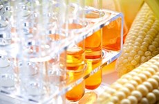  Vietnam completes anti-dumping probe into corn syrup from China, RoK
