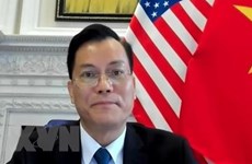 Vietnam welcomes US’s practical assistance for Mekong nations: ambassador