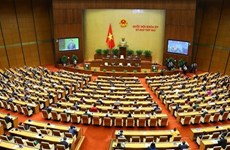 Great national solidarity significant for Vietnam to overcome difficulties: NA leader
