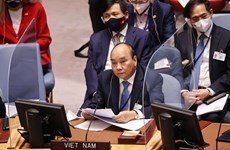 President’s presence at upcoming UN debate manifests Vietnam’s attention to cooperation with Africa