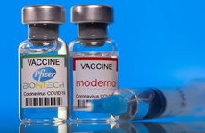 Ministry licences Pfizer, Moderna vaccines for inoculation of children