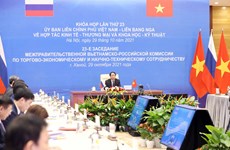 Vietnam, Russia review economic, trade, scientific cooperation ties
