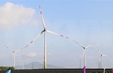 Forty-two new wind power plans put into commercial operations: EVN