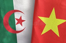 Greetings to Algeria on Revolution Day