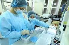 Innovation – new motivation for Vietnam’s growth: Report