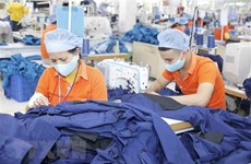 Insiders put trust in Vietnam’s economic recovery