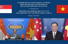Vietnam, Singapore convene 14th political consultation