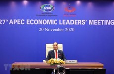 President’s participation in APEC meetings to raise Vietnam’s stature in multilateral activities
