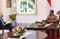 Indonesia, UK discuss strategic economic cooperation