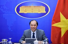 Vietnam, India convene 11th political consultation, eighth strategic dialogue