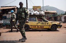 UN Security Council extends mandate of UN peacekeeping mission in Central African Republic