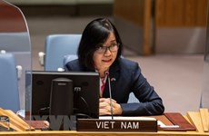 Vietnam calls for eradication of barriers, discrimination against widows