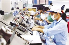 Private businesses in Vietnam: increases in both quantity, quality