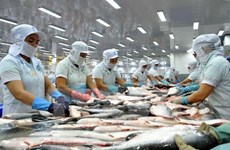 Brazil market offers big opportunities for Vietnamese tra fish 
