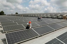 Made-in-Vietnam solar panels escape US anti-circumvention investigation
