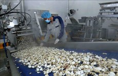 Vietnamese firm exports canned clams to Europe 