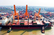 Vietnam-Malaysia-India container shipping route to be inaugurated  