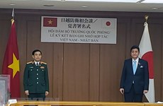 Vietnam, Japan emphasise importance of respect for international law