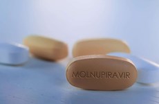 Vietnam able to produce COVID-19 treatment drug Molnupiravir
