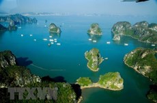 Better environment protection in Ha Long Bay urged for sustainable tourism