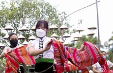 Vietnamese cultural heritage week tightens national unity