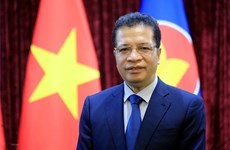 Ambassador: Vietnam-Russia ties loyal, close 