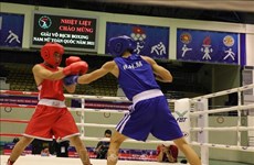 Bac Ninh hosts national boxing championships 2021 