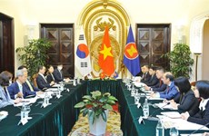 Vietnam, RoK conduct consultation on ASEAN-RoK relationship coordination