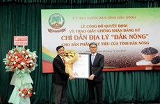Dak Nong receives geographical indication for locally grown pepper