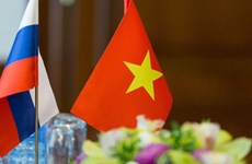 Vietnam fosters cooperation with Russian political parties