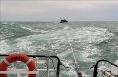 Eleven sailors in distress at sea brought ashore