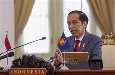 Indonesia announces initial success in controling COVID-19