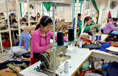 Quang Ninh takes numerous policies to support people with disabilities 