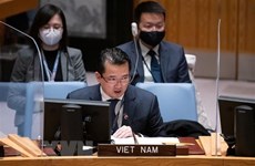 Vietnam urges enhanced awareness, enforcement of UNCLOS