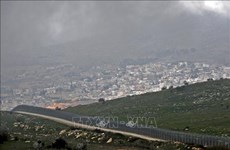 Vietnam affirms consistent viewpoint on Golan Heights situation
