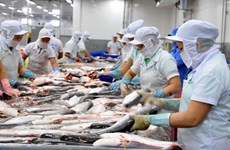 Tra fish export forecast to hit 1.54 billion USD in 2021