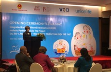 Project promotes parenting among Vietnamese