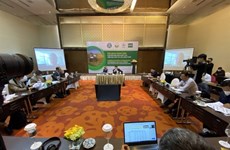 Vietnamese farmers to be guided on low-carbon rice production