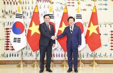 Vietnam, RoK top legislators back upgrading bilateral relationship