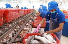 VASEP claims imported seafood regulations inadequate