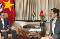 NA Chairman's visit demonstrates importance of Vietnam-India partnership: Ambassador 